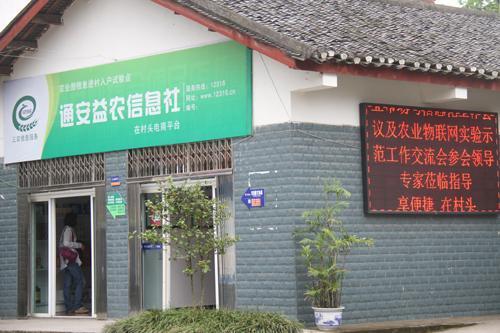 &#108;&#101;&#121;&#117;&#20048;&#40060;