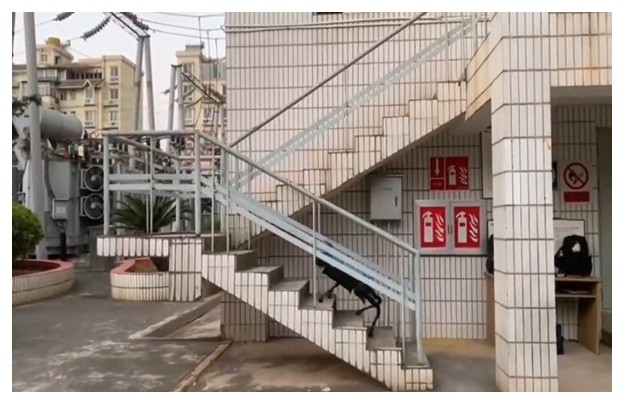 &#108;&#101;&#121;&#117;&#20048;&#40060;