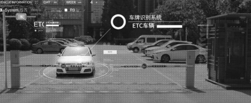 &#108;&#101;&#121;&#117;&#20048;&#40060;