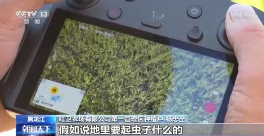 &#108;&#101;&#121;&#117;&#20048;&#40060;