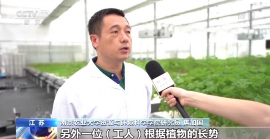 &#108;&#101;&#121;&#117;&#20048;&#40060;